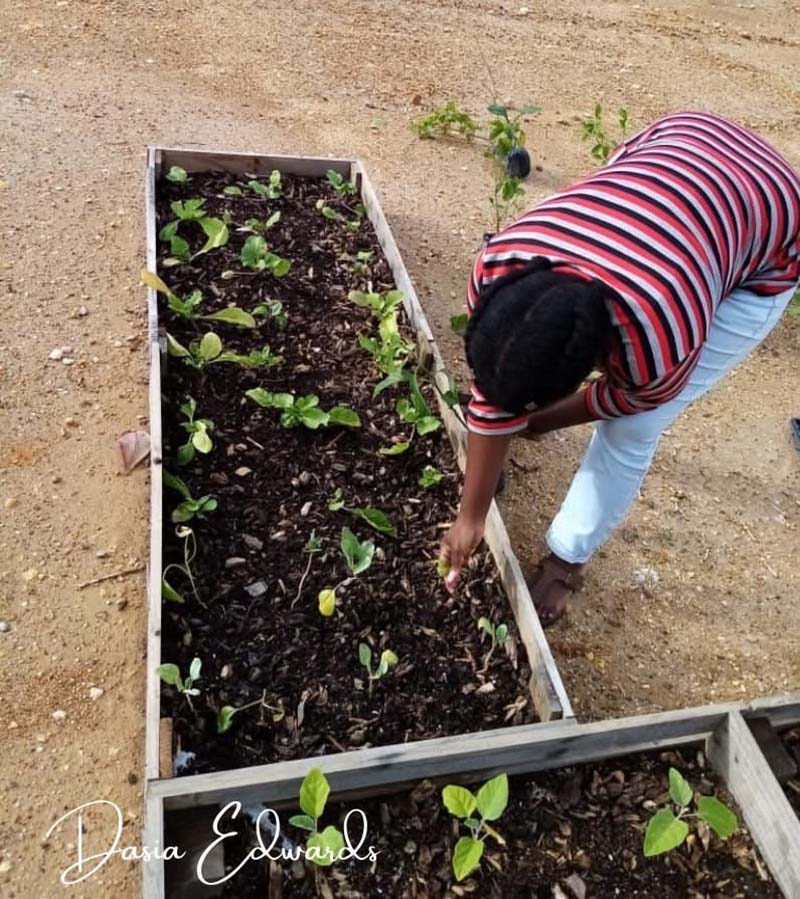 02 tending a crop bed