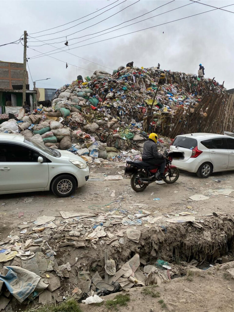 motorists dodging garbage