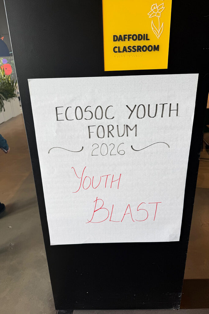 Ecosoc Youth Forum v4 copy